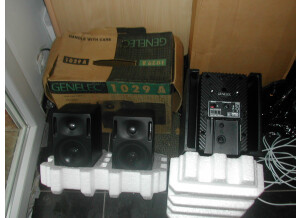 Genelec 1091A (11200)