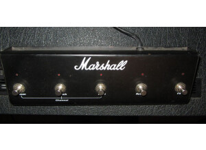 Marshall TSL100 [2000 - ] (5779)