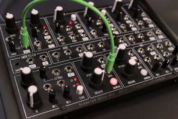 Plankton Electronics Ants! : Ants Front Plankton Electronics Ants! : Ants Front