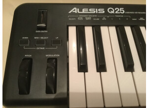 Alesis Q25 (44366)