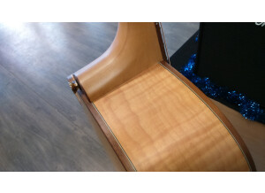 Tanglewood TW66 FMP B (63360)