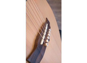 Tanglewood TW66 FMP B (27596)