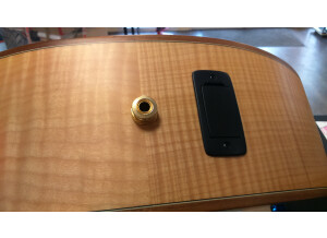 Tanglewood TW66 FMP B (53335)