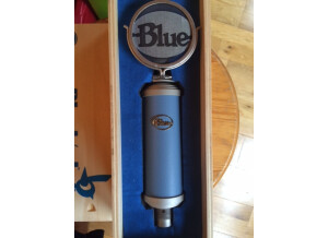 Blue Microphones Bluebird (17359)