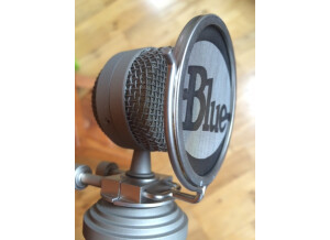 Blue Microphones Bluebird (76576)