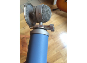 Blue Microphones Bluebird (98271)