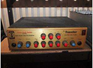 Eden Bass Amplification WT-300 Traveler (64918)