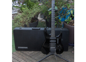 Steinberger 01