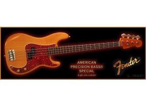 Fender Precision Bass Special - Light relic custom