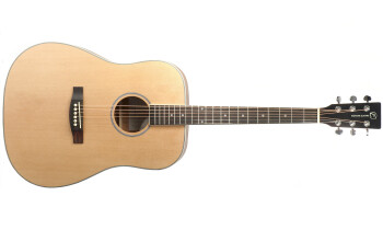 Eastone DR100 : dr100 nat hd 5 117440 Eastone DR100 : dr100 nat hd 5 117440