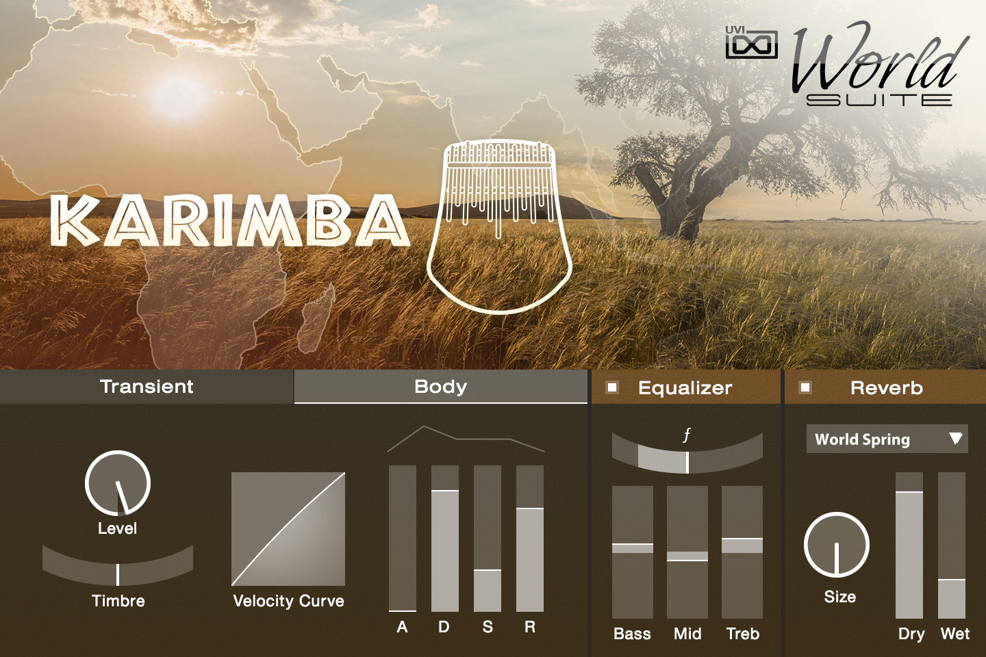 WS GUI AFRIKA Karimba