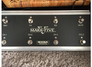 Mesa Boogie Mark Five Head (22951)