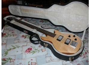 Gibson basse (1)