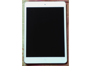 Apple iPad mini 2 (21503)