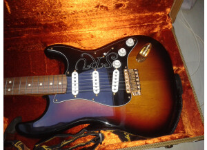 Fender Stevie Ray Vaughan Stratocaster (93429)