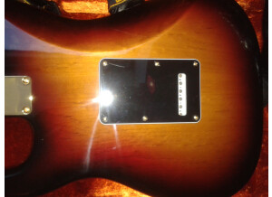 Fender Stevie Ray Vaughan Stratocaster (96769)
