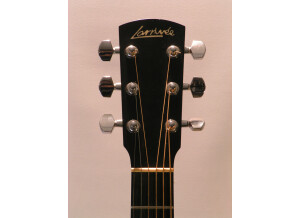 Larrivée D-03E (57665)