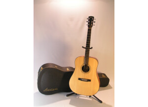 Larrivée D-03E (4955)