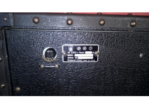 Roland Jazz Chorus JC-120 (Vintage) (41889)