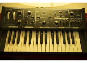 Moog Music Rogue (48075)