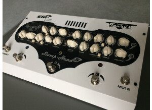 Taurus Stomp-Head 5.CE (47064)