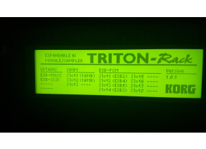 Korg Triton Rack (43209)