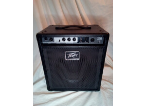 Peavey MAX 110 (59743)