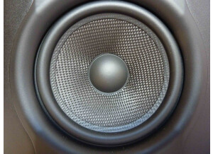 M-Audio BX5 D2 (94073)