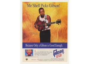 Gibson Les Paul Standard Bass (7258)