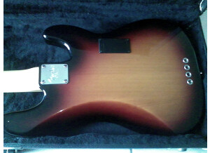 Fender American Precision Bass [2003-2007] (98273)