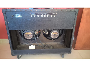 Roland Jazz Chorus JC-120 (Vintage) (35931)