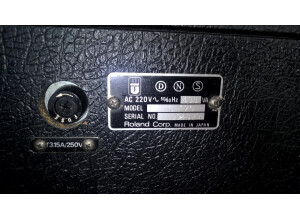 Roland Jazz Chorus JC-120 (Vintage) (94451)