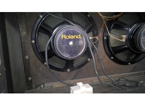 Roland Jazz Chorus JC-120 (Vintage) (5894)