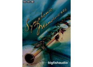 Big Fish Audio Symphonic Manoeuvres (45684)