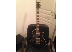 LTD EC-256 - Aged Vintage Gold (41754)