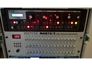 Moog Music SlimPhatty (30230)