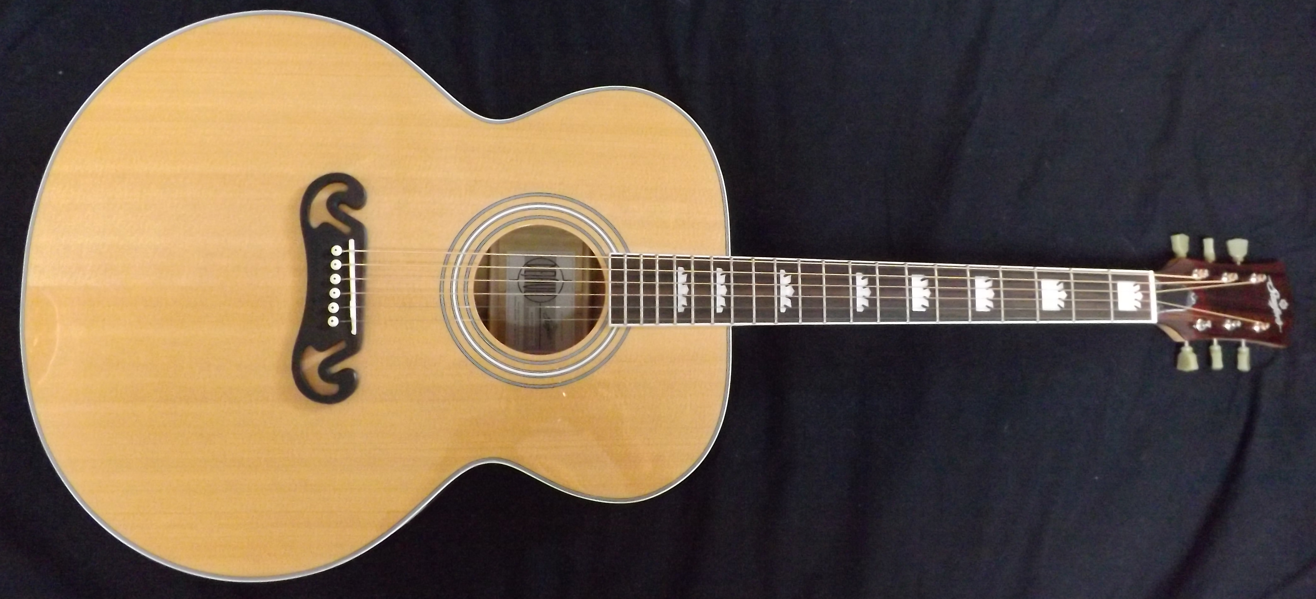 Stanford Blonde Sister