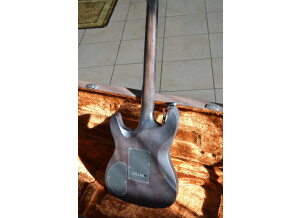 Chapman Guitars ML-1 Walnut Body (2801)