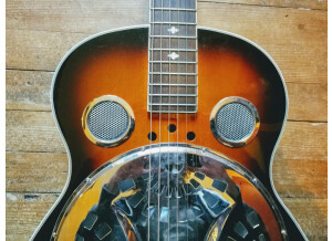 Johnson Guitars JR-410