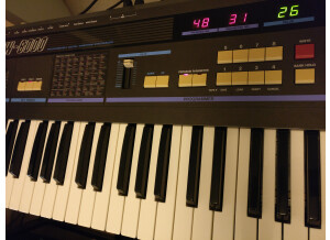 Korg Dw-8000 (53702)