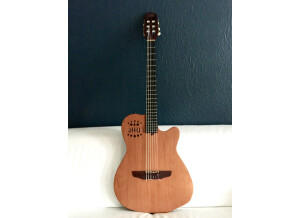 Godin ACS-SA Slim (58920)