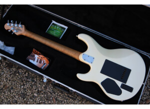 Music Man Luke (Vintage Tremolo) (53218)