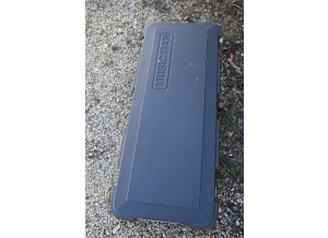 Music Man Luke (Vintage Tremolo) (57525)