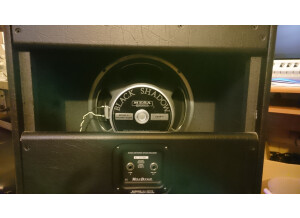 Mesa Boogie Lone Star 1x12 19 (65224)