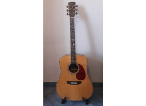 Cort Earth1200 (29310)