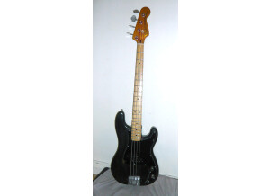 Fender Precision Bass 1973
