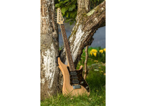 Vigier Excalibur Shawn Lane Master Signature (14441)