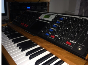 Moog Music Minimoog Voyager Select Series (28971)