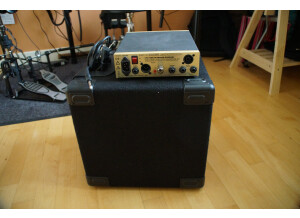 Eden Bass Amplification WTX-264 (93109)