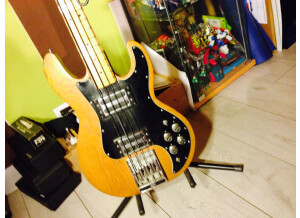 Peavey T 40 (6353)